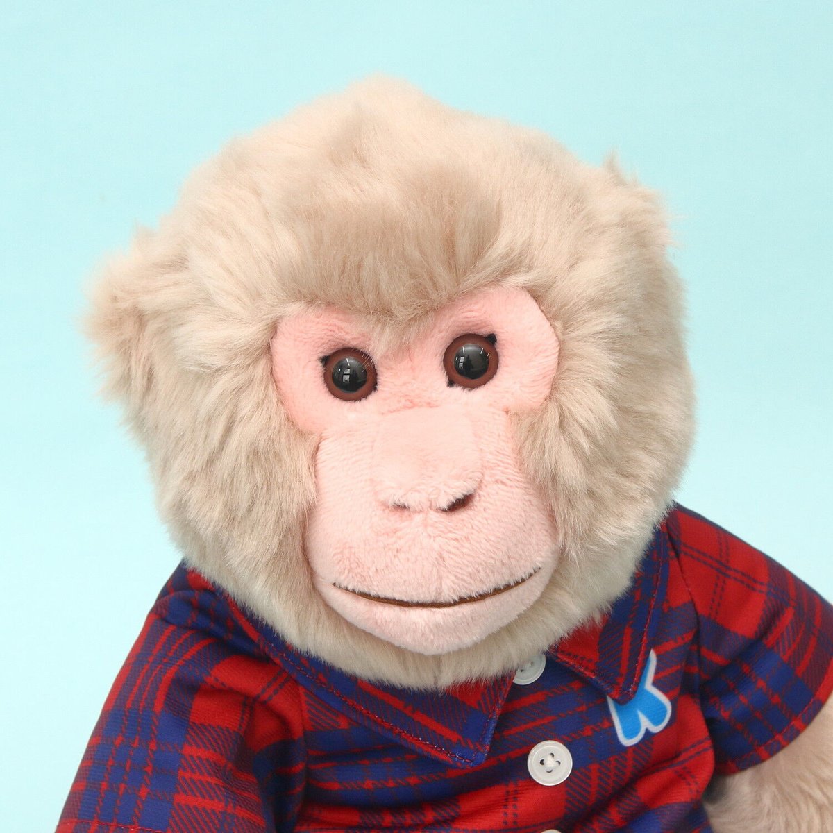 吉徳 カイくんぬいぐるみ | 阿蘇カドリー・ドミニオン 公式オンライン