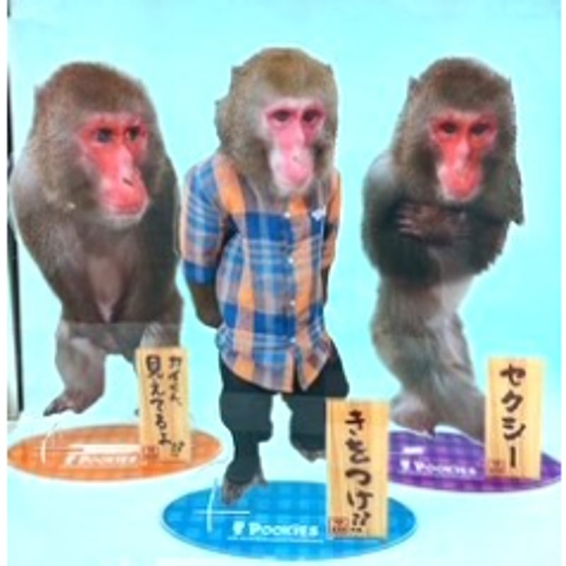 Pookies】カイ君引退公演記念グッズ Bigアクリルスタンド | 阿蘇