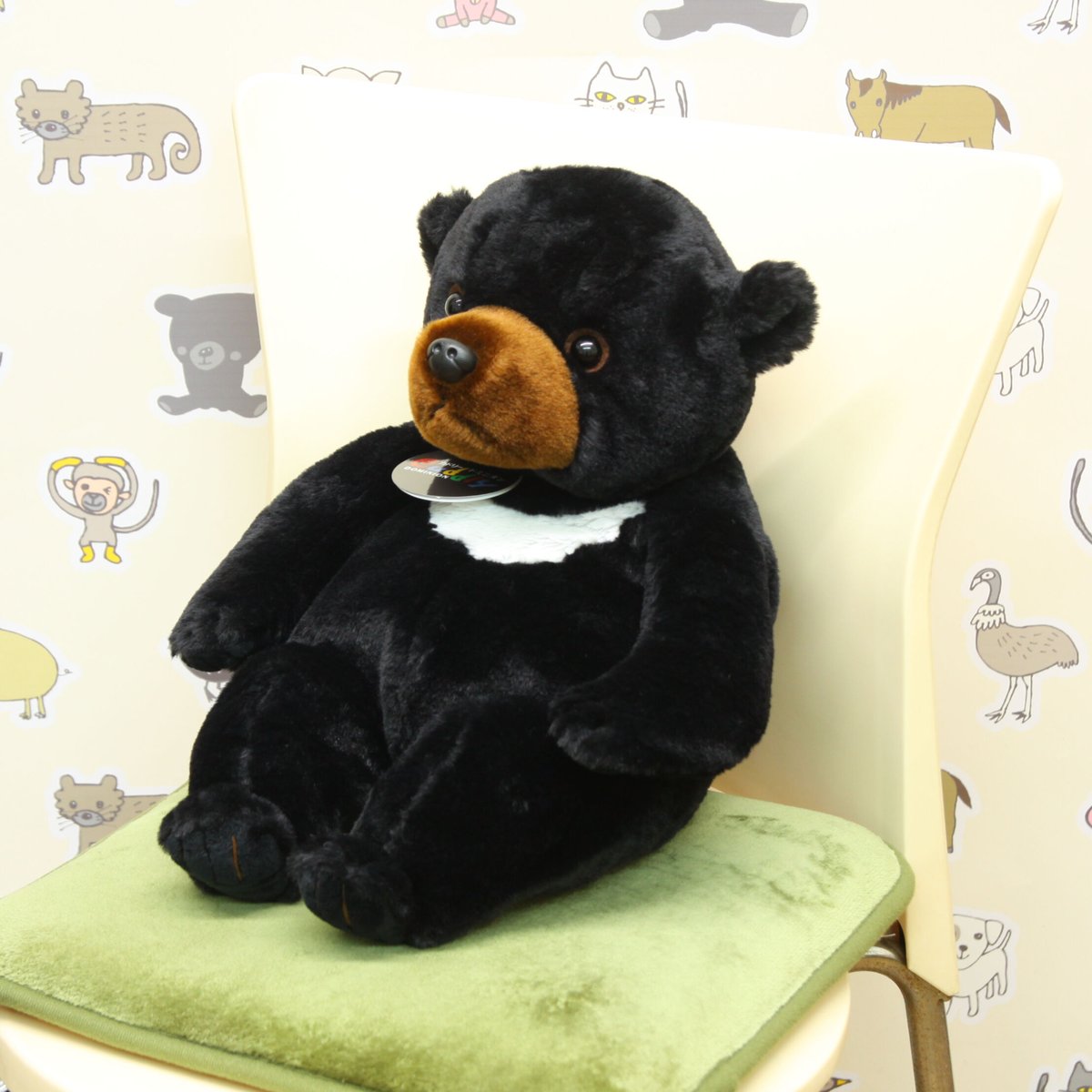 カドリー・ドミニオン　ツキノワグマお座りVer.　(Mサイズ)