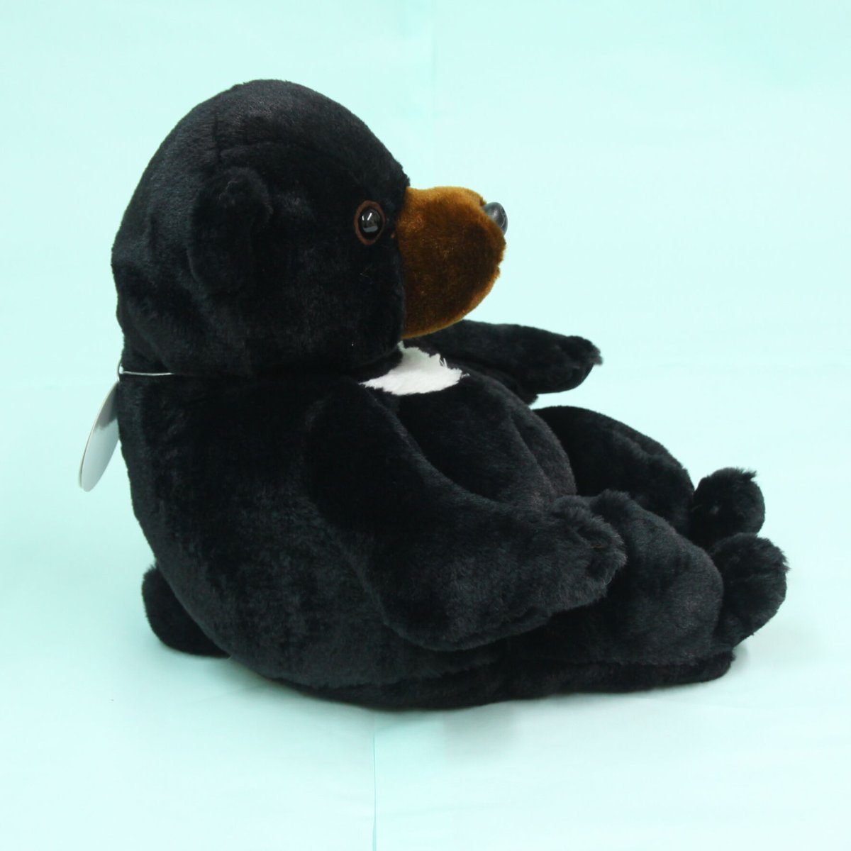 りえっクマ カドリー・ドミニオン ツキノワグマお座りVer. (Mサイズ) | 阿蘇