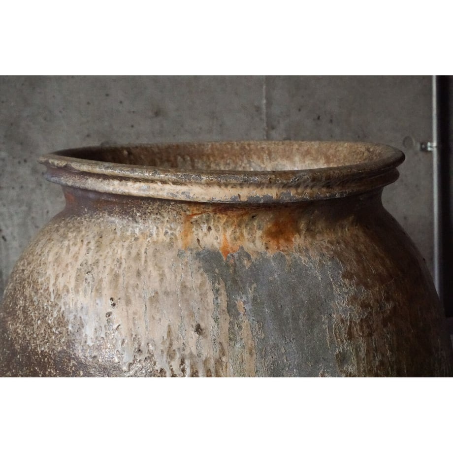 64117c488f9c850030e99424