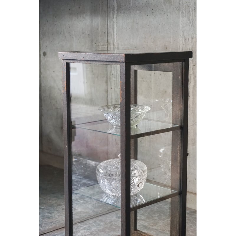 蜂の巣 ショーケース付き 木枠ガラスショーケース | SOWGEN