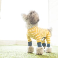 border rompers . [ yellow ]