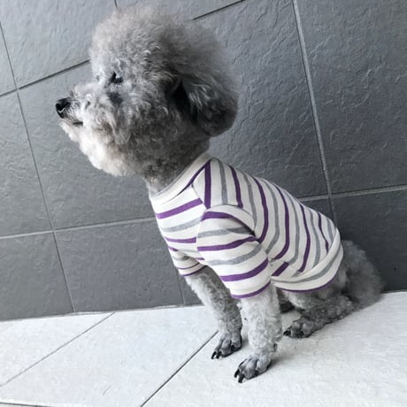 ORIGINAL 七分袖 border tops . ［gray×purple   L , XL , HPS , HPM , HPL ］