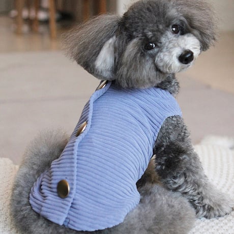Backbotão vest . ［ ivory ］