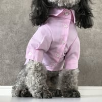 color shirt . [ pink ]
