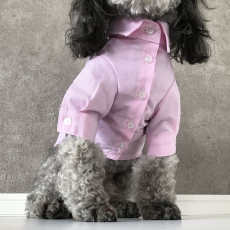 color shirt . [ pink ]