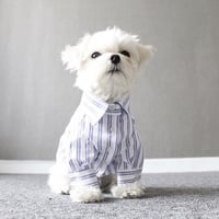 mulch stripe shirt . [ white ]