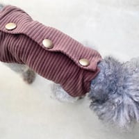 Backbotão vest . ［ brown ］