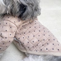 star dot jacket . ［ beige ］