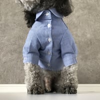 color shirt . [ blue ]