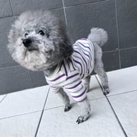 ORIGINAL 七分袖border tops . [  gray×purple   XS , S , M  ]