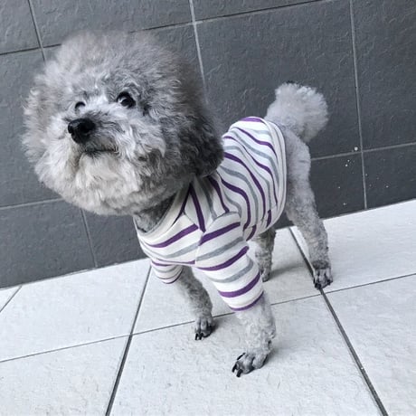 ORIGINAL 七分袖border tops . [  gray×purple   XS , S , M  ]