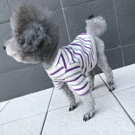 ORIGINAL 七分袖 border tops . ［gray×purple   L , XL , HPS , HPM , HPL ］