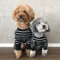 border rompers . [  black ]