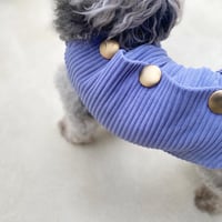Backbotão vest .  ［ blue ］