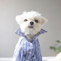 mulch stripe shirt . [ blue ]