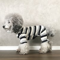 turtle border rompers . [ black  ×  gray ]