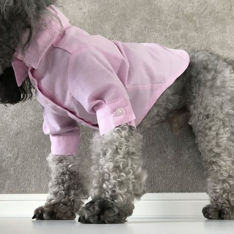 color shirt . [ pink ]