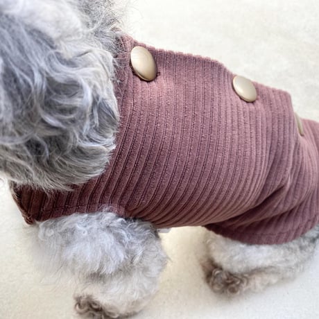 Backbotão vest . ［ brown ］