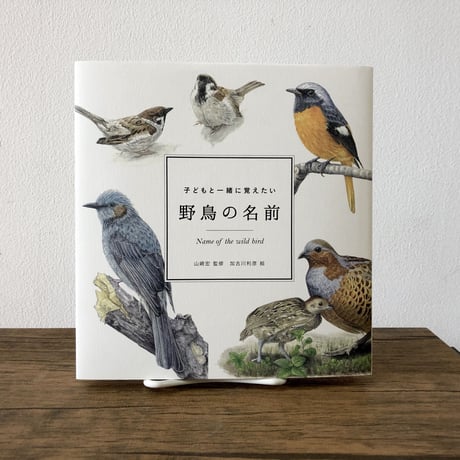 子どもと一緒に覚えたい 野鳥の名前