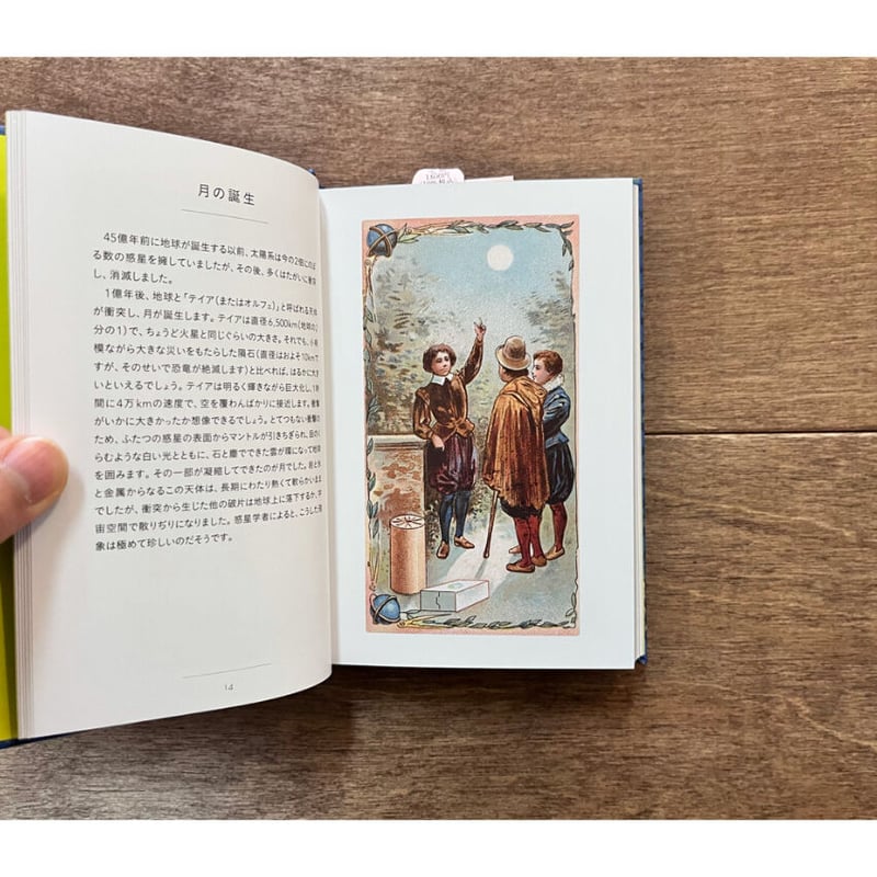 ちいさな手のひら事典 月 | よもぎBOOKS