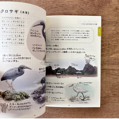 ココロさえずる野鳥ノート