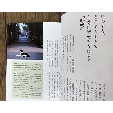 ストレスフリーになる休息のヨガ