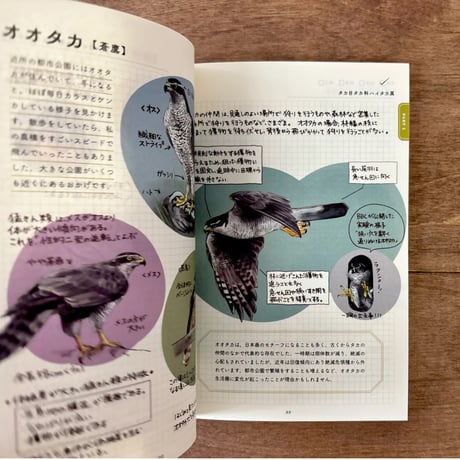 ココロさえずる野鳥ノート