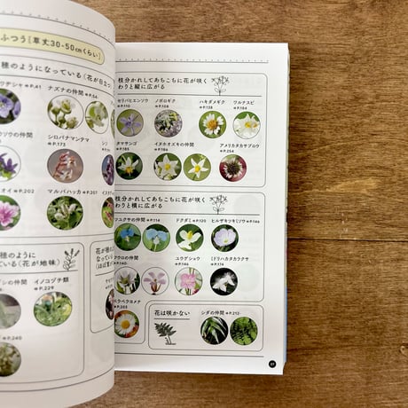 みちくさ手帳