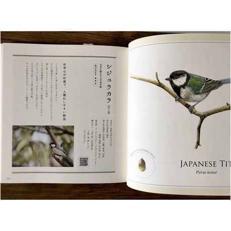 子どもと一緒に覚えたい 野鳥の名前