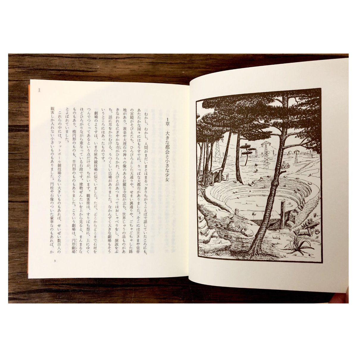 モモページ 愛蔵版 モモ | よもぎBOOKS