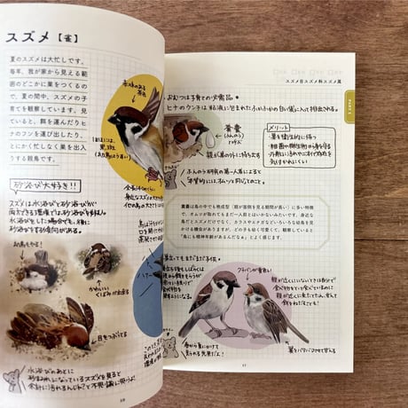 ココロさえずる野鳥ノート