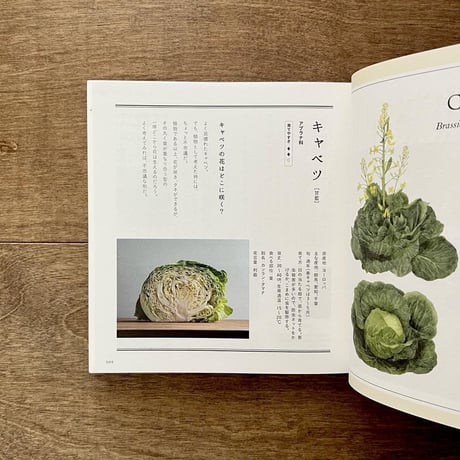 子どもと一緒に覚えたい　野菜の名前