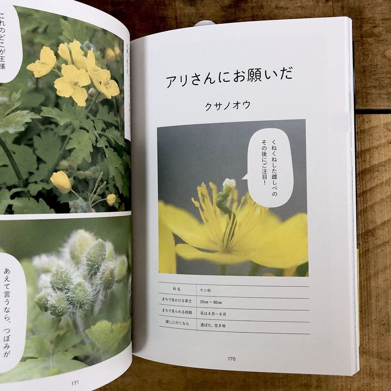そんなふうに生きていたのね まちの植物のせかい | よもぎBOOKS