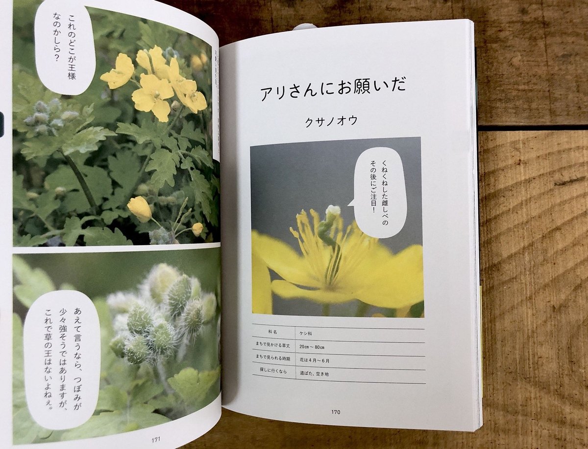 絶版 希少新品 水平思考の世界 固定観念がはずれる創造的思考法 水平思考の世界 | エドワード デボノ, 藤島みさ子 |本 | 通販