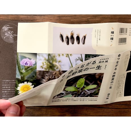 種から種へ　命つながるお野菜の一生