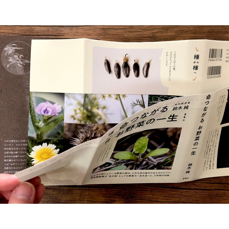 種から種へ 命つながるお野菜の一生 | よもぎBOOKS