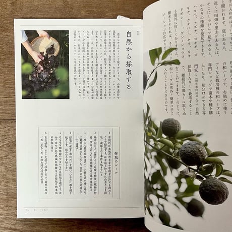 和ハーブのある暮らし