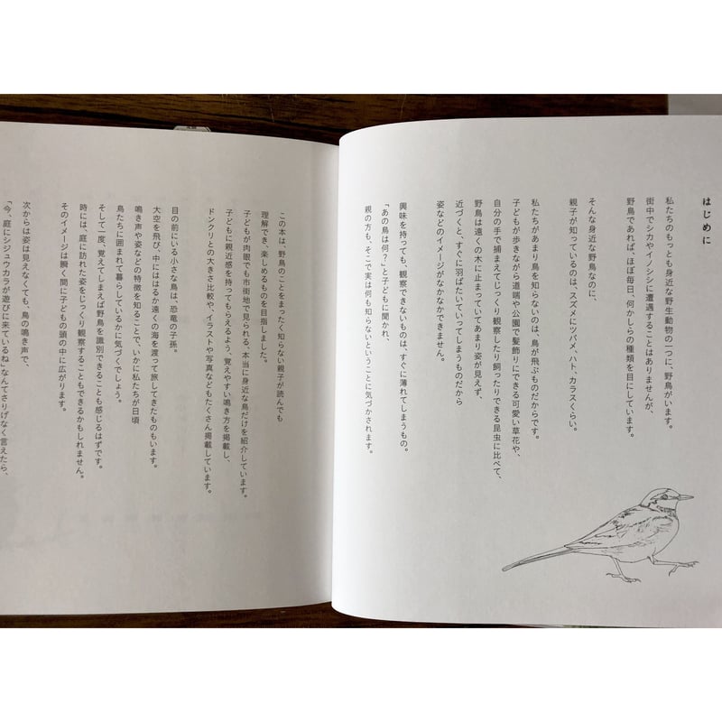 子どもと一緒に覚えたい 野鳥の名前 | よもぎBOOKS