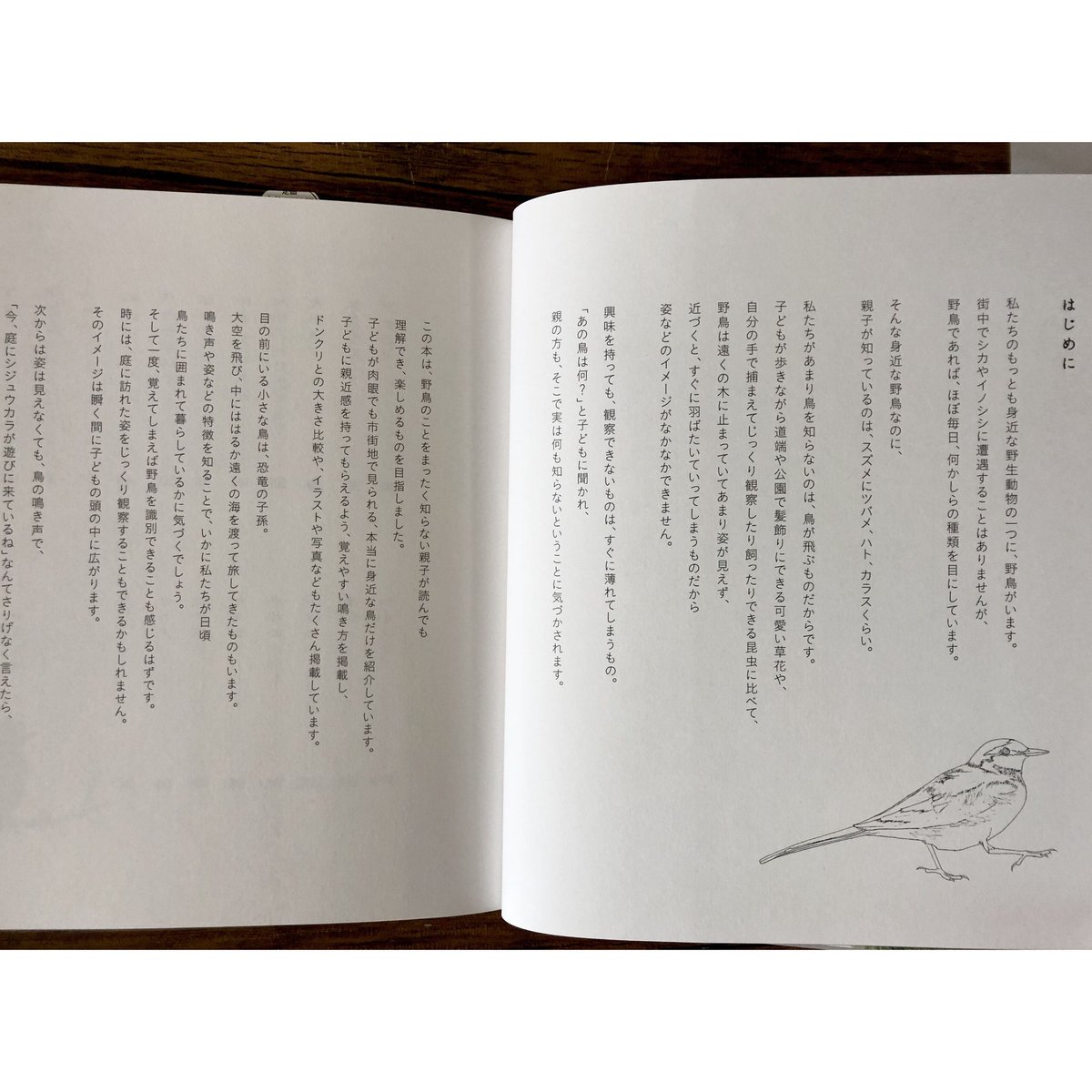 子どもと一緒に覚えたい 野鳥の名前 他 5冊セット バラ売り不可 子どもと一緒に覚えたい 野鳥の名前 | よもぎBOOKS