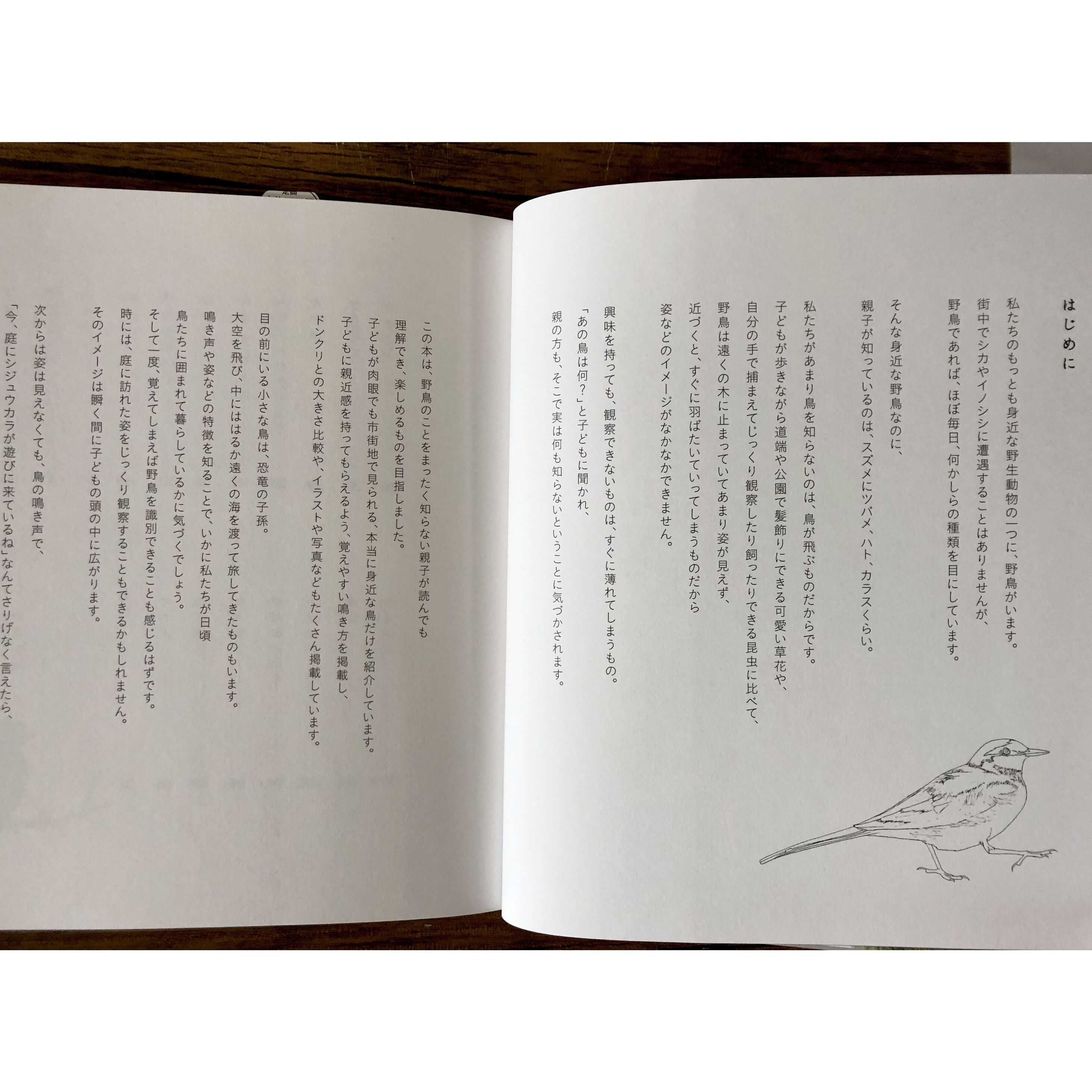 子どもと一緒に覚えたい 野鳥の名前 | よもぎBOOKS