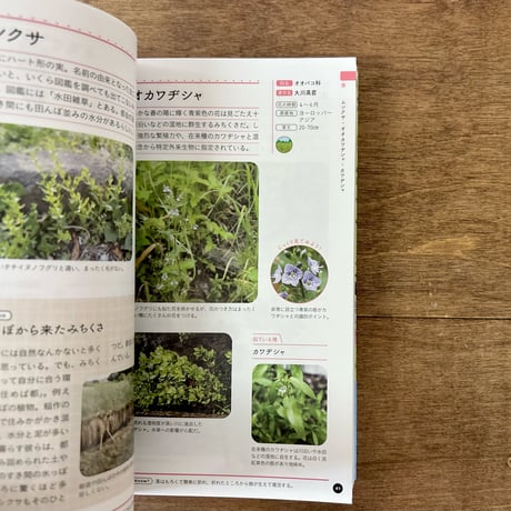 みちくさ手帳