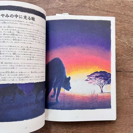未知なる冒険の書 自然に学び、地球で遊ぶ336の知恵