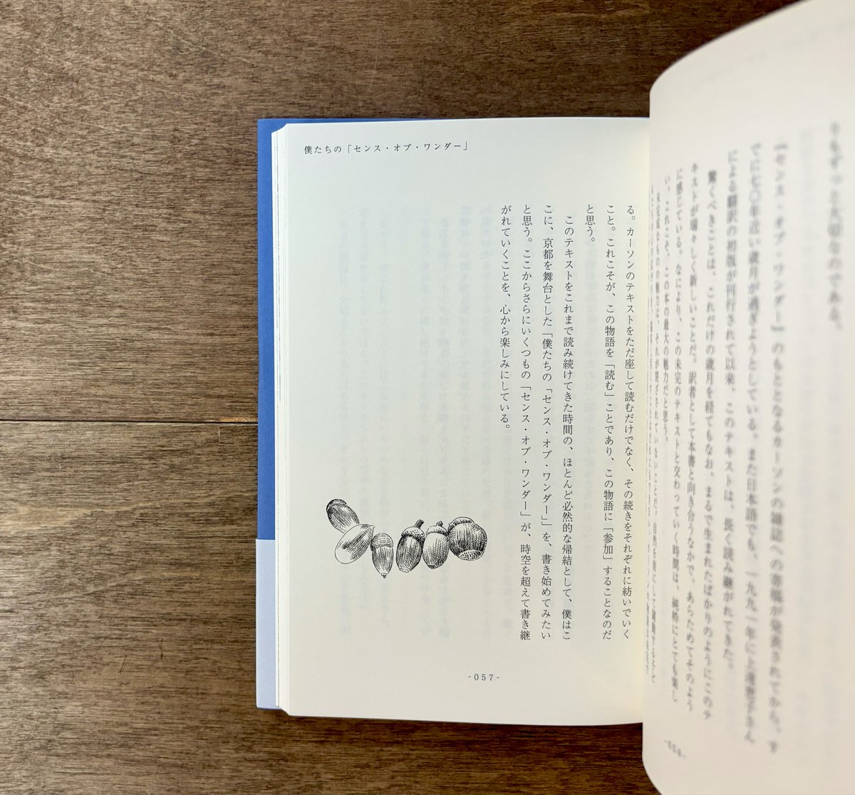 センス・オブ・ワンダー | よもぎBOOKS