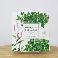 子どもと一緒に覚えたい道草の名前