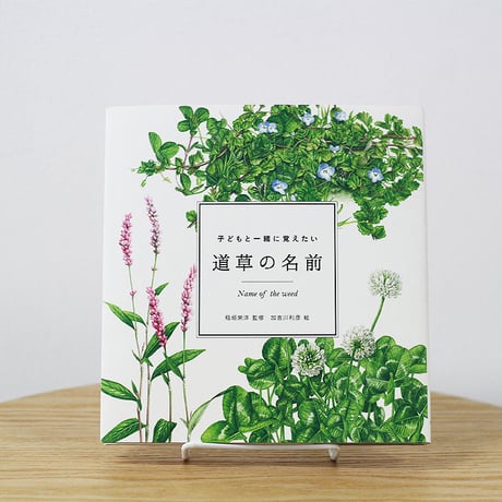 子どもと一緒に覚えたい道草の名前