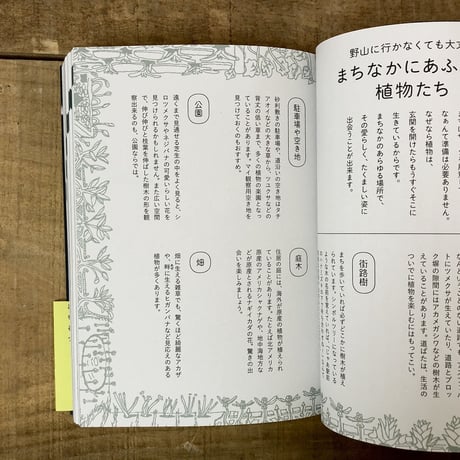 そんなふうに生きていたのね　まちの植物のせかい