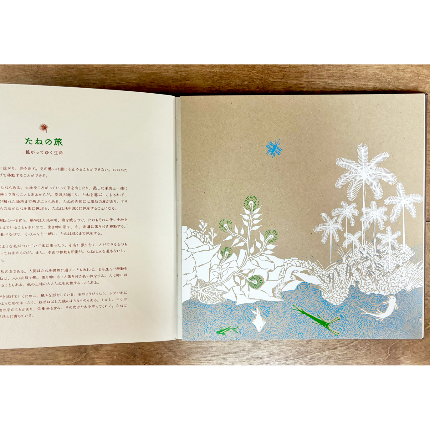 「SEED 」Gita Wolf他著Tarabooks インド限定品　日本未販売 たね | よもぎBOOKS