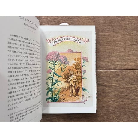 ちいさな手のひら事典　薬草